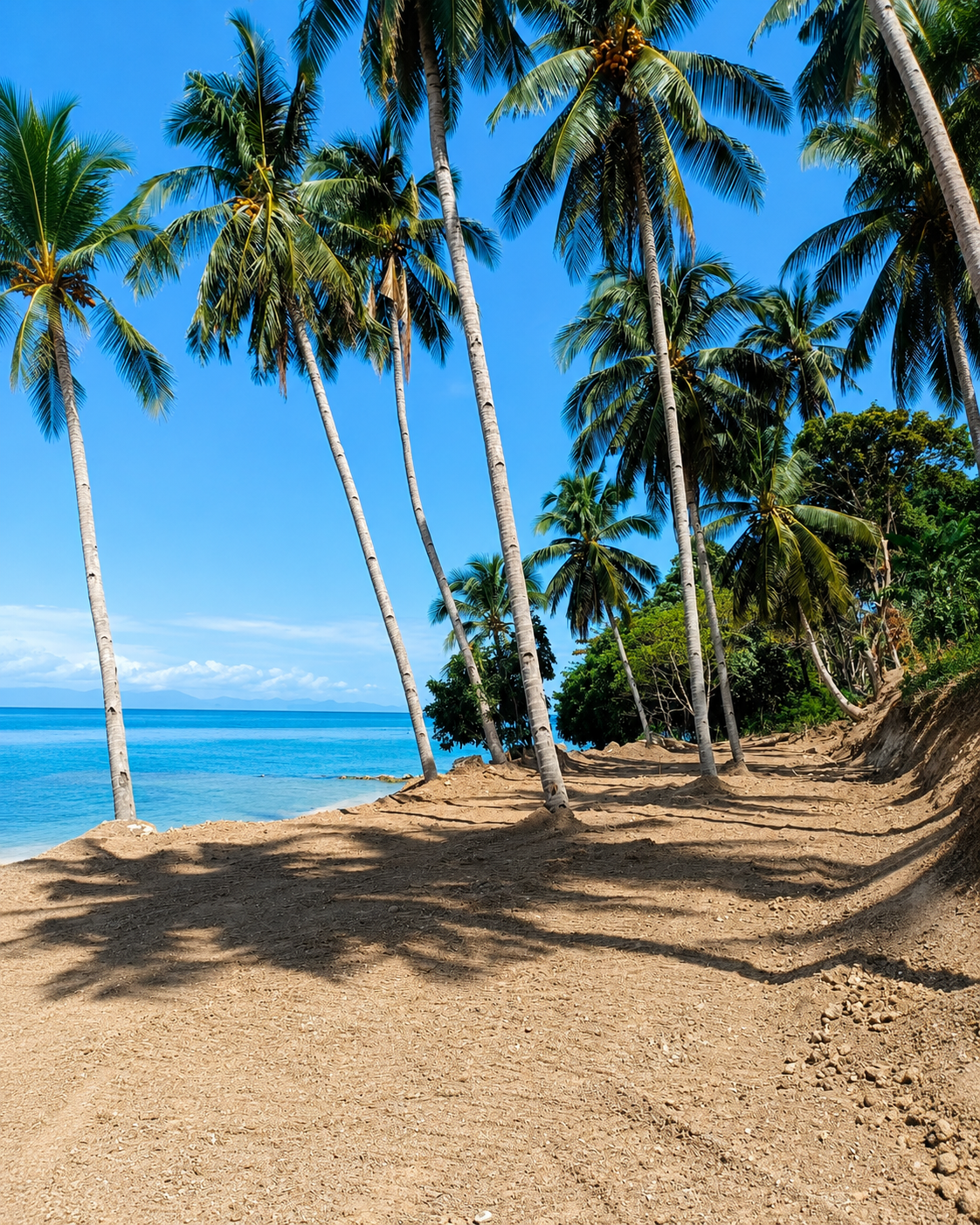 Samal Island Beachline Property
